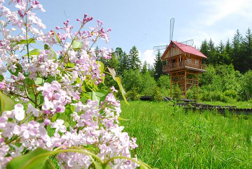 ��ˮ�羰��